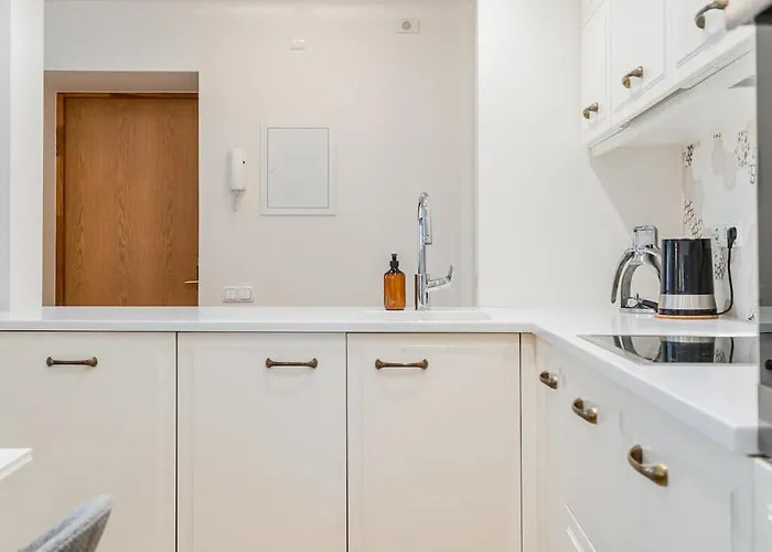 Domillion 3bdr Huge Town Hall Luxury Ac D3948