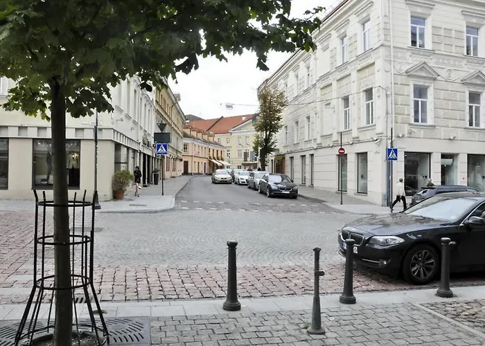 Appartement Domillion 3bdr Huge Town Hall Luxury Ac D3948 Vilnius